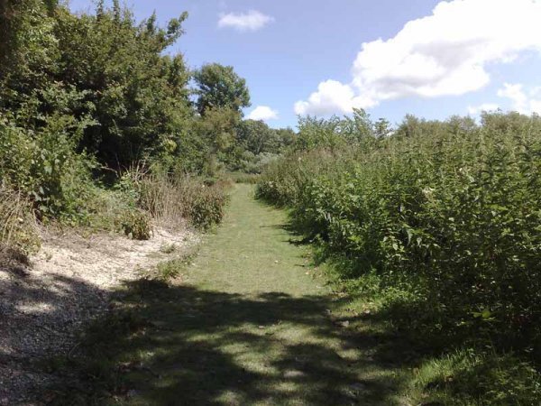 Amberley to Arundel