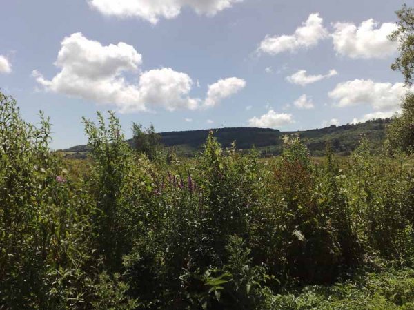 Amberley to Arundel