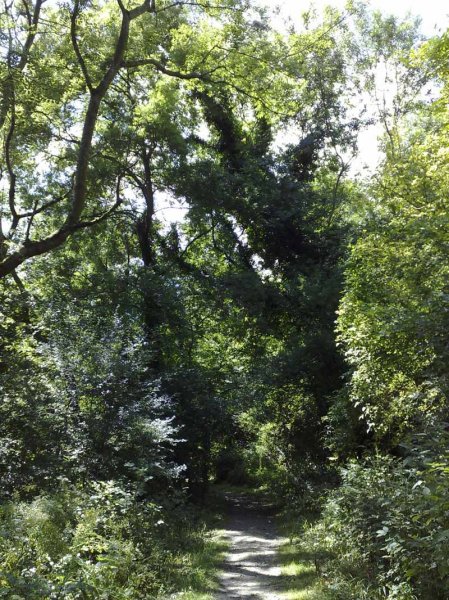 Amberley to Arundel