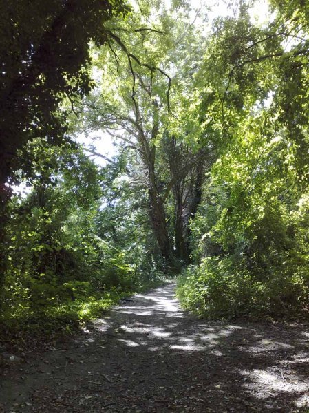 Amberley to Arundel