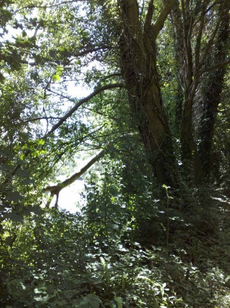 Amberley to Arundel