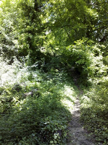 Amberley to Arundel