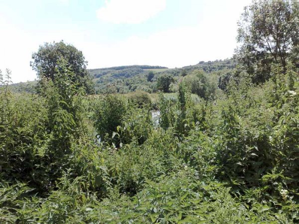 Amberley to Arundel