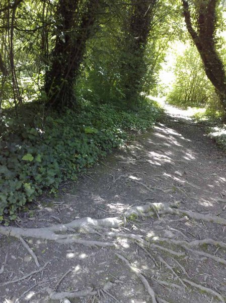 Amberley to Arundel