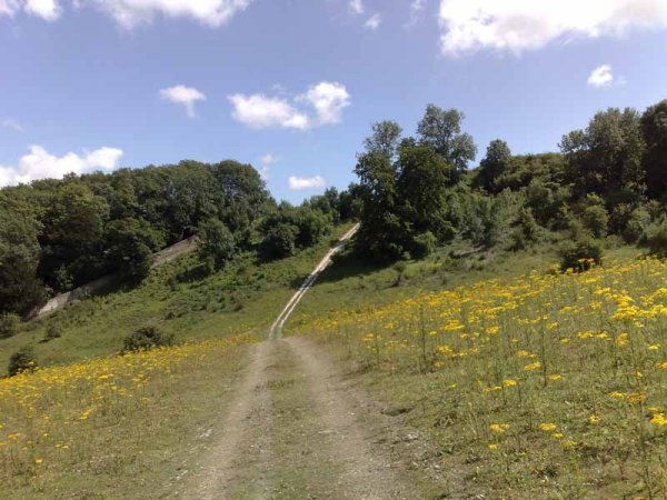 Amberley to Arundel