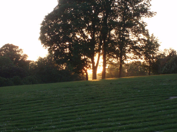 Hove Park at sunset