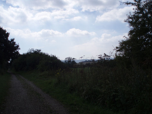 walkalongriver26.JPG