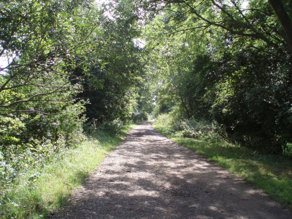 walkalongriver32.JPG