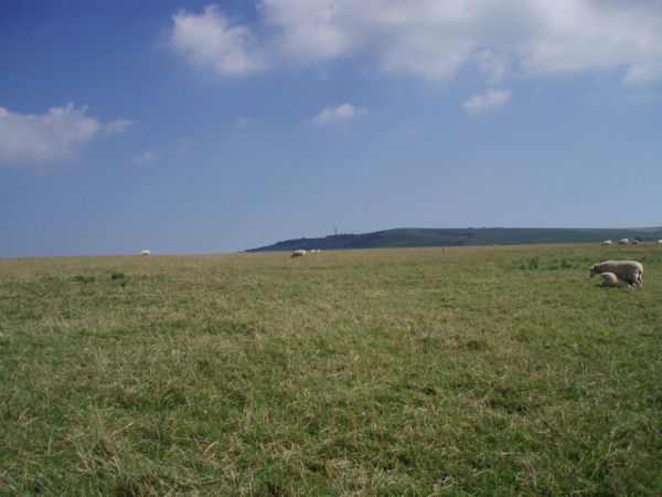 walkalongriver61.JPG