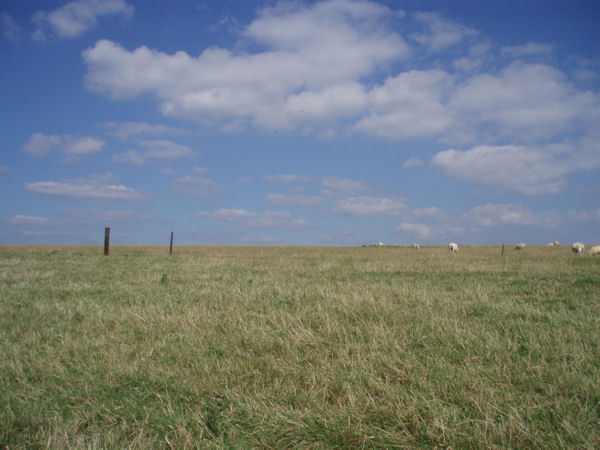 walkalongriver62.JPG