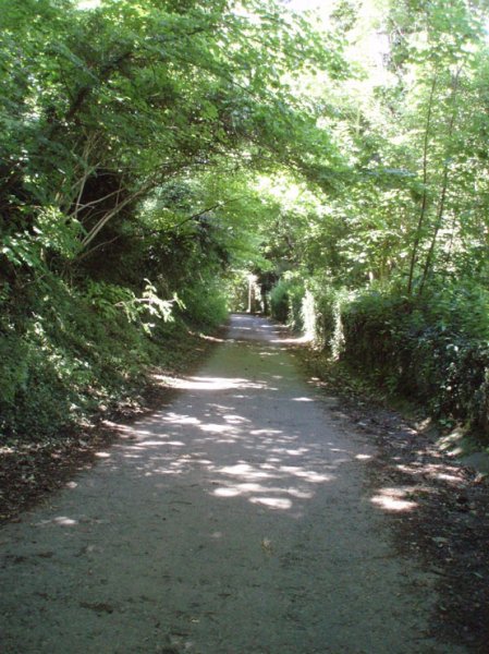 From Steyning to the rings and back again