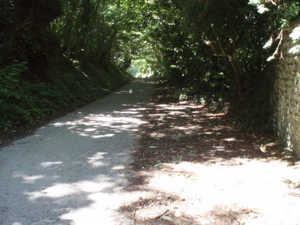 From Steyning to the rings and back again