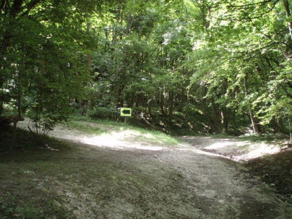 From Steyning to the rings and back again