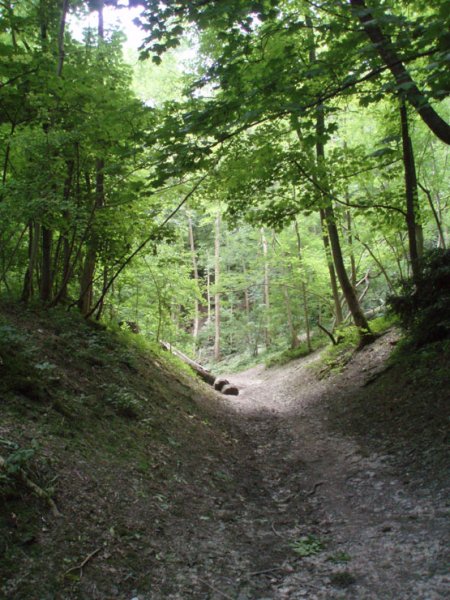 From Steyning to the rings and back again