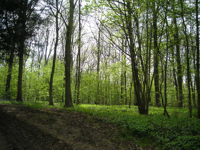 2004_0425_134322AA