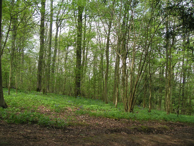 2004_0425_134429AA