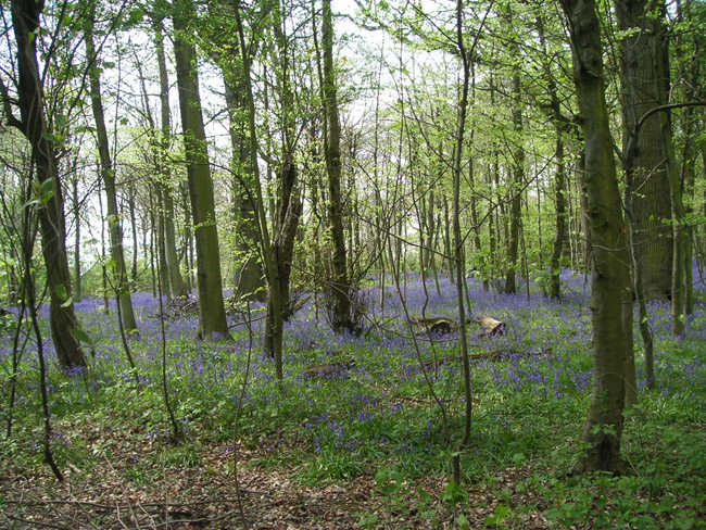 2004_0425_134554AA