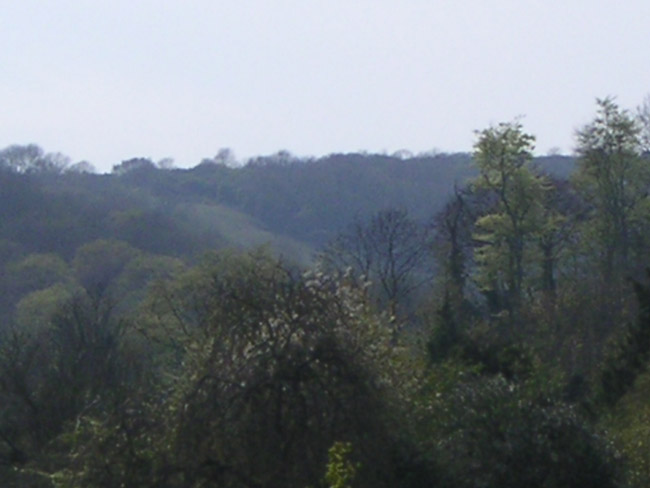 2004_0425_141436AA