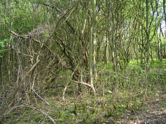 2004_0425_143227AA