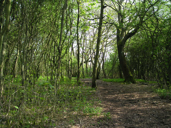 2004_0425_143229AA