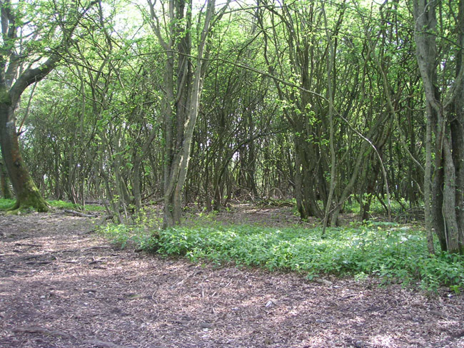 2004_0425_143232AA