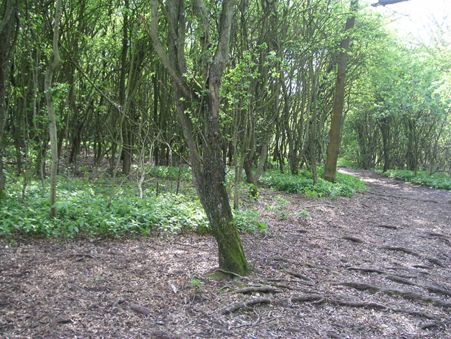 2004_0425_143234AA