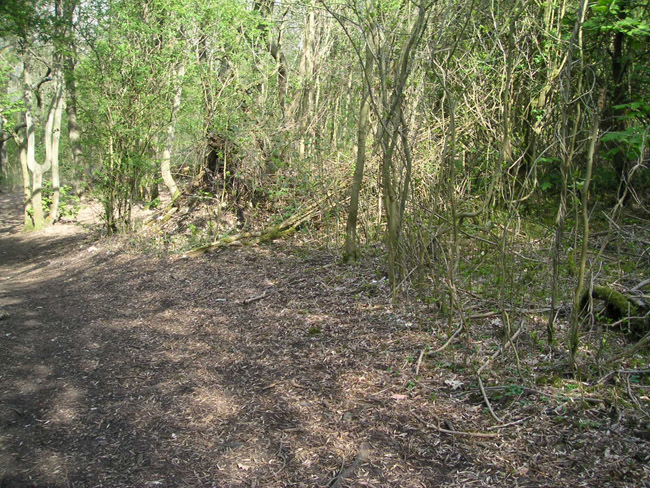 2004_0425_143237AA
