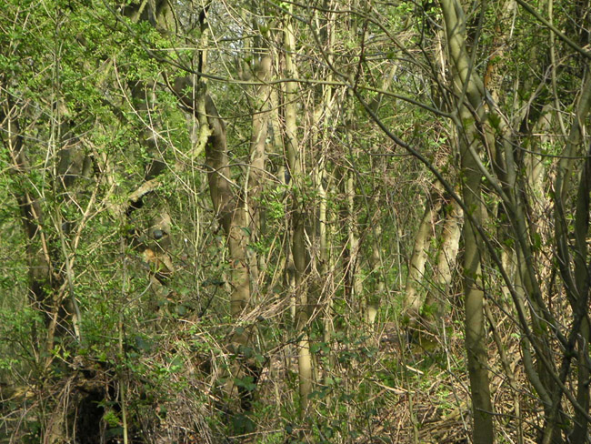 2004_0425_143248AA