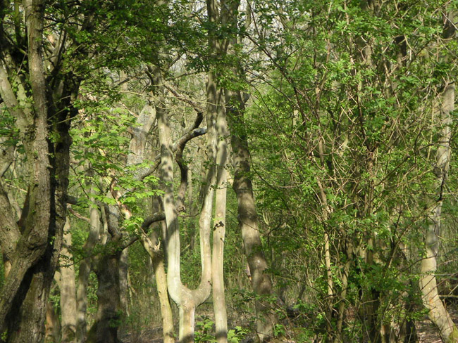 2004_0425_143251AA