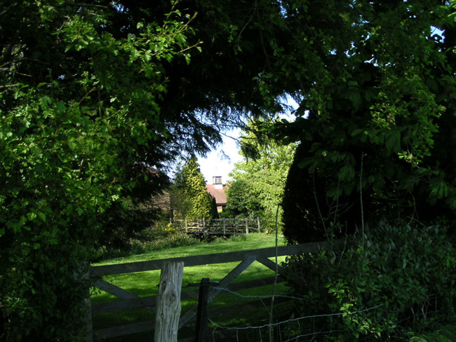 2004_0501_145242AA
