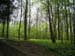 2004_0425_134322AA