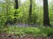 2004_0425_134404AA