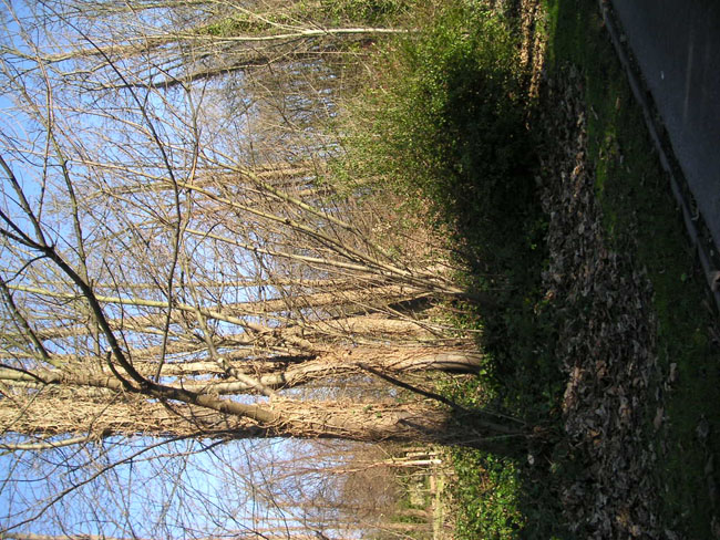 2003_1217_124722AA