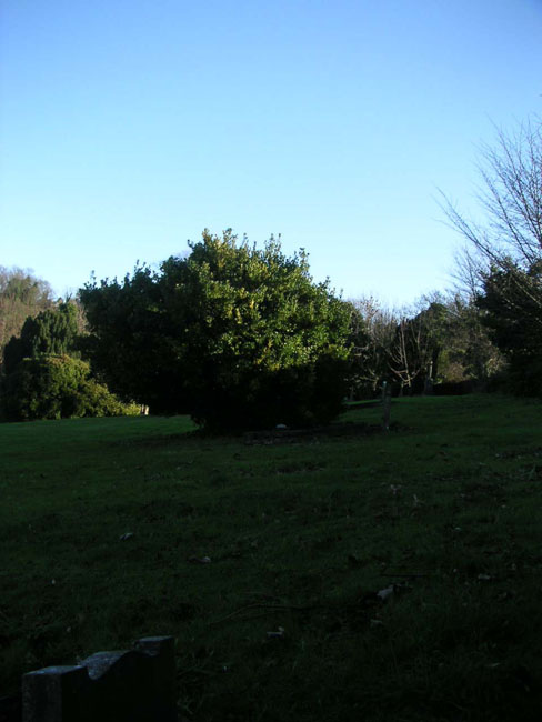 2003_1217_130856AA