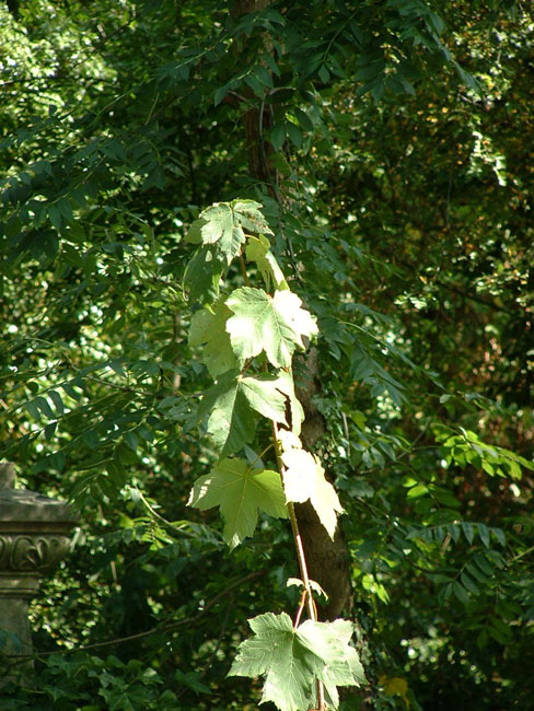 2003_0816_155025AA