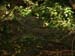 2003_0816_155321AA