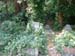 2003_0816_161403AA