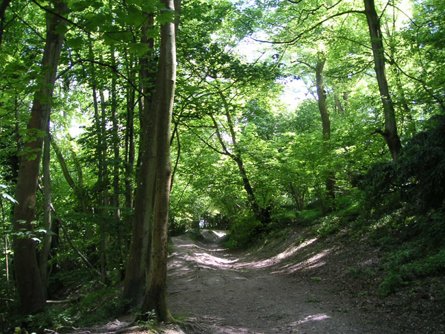 2004_0616_120934AA