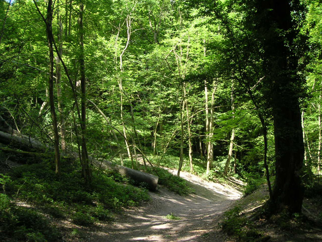 2004_0616_120948AA