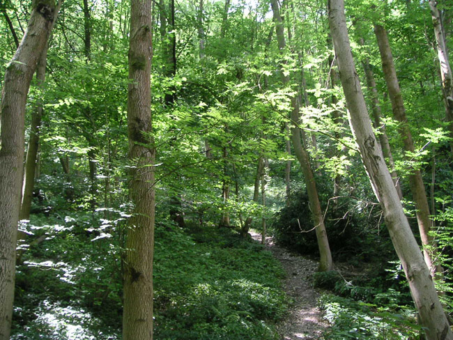 2004_0616_120953AA