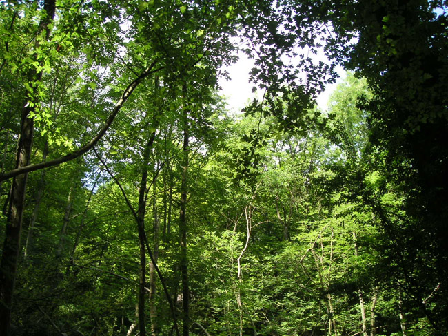 2004_0616_121008AA
