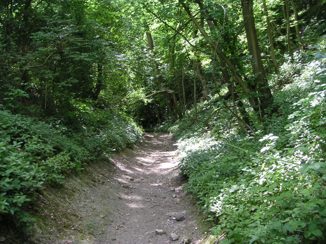 2004_0616_121623AA