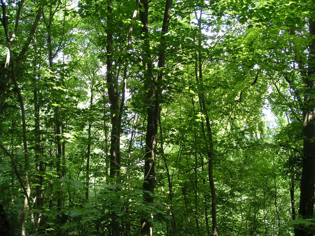 2004_0616_121908AA