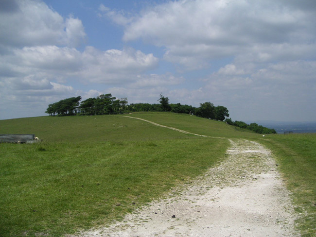 2004_0616_123351AA