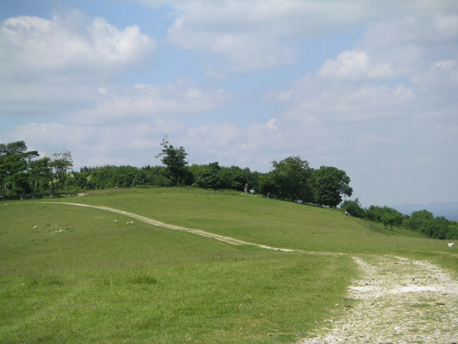 2004_0616_123357AA
