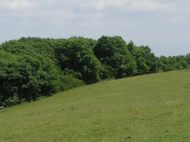2004_0616_123915AA