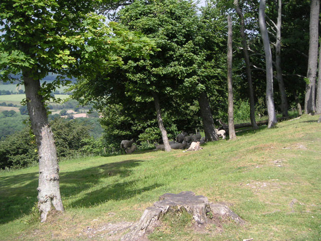 2004_0616_124352AA