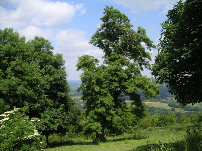 2004_0616_124901AA