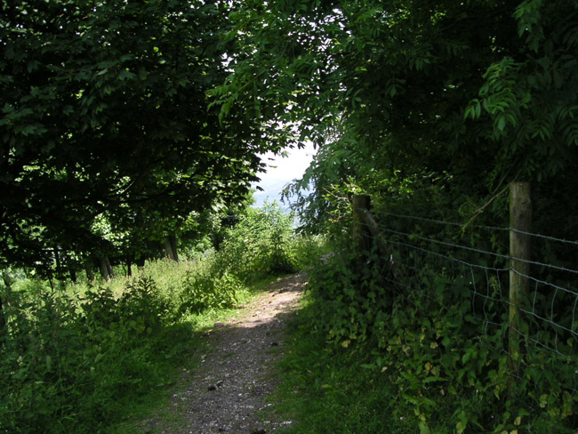 2004_0616_124907AA