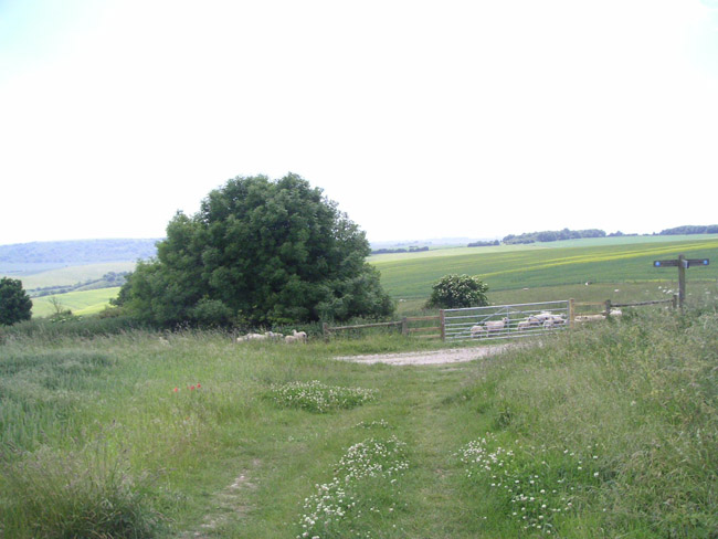 2004_0616_132343AA